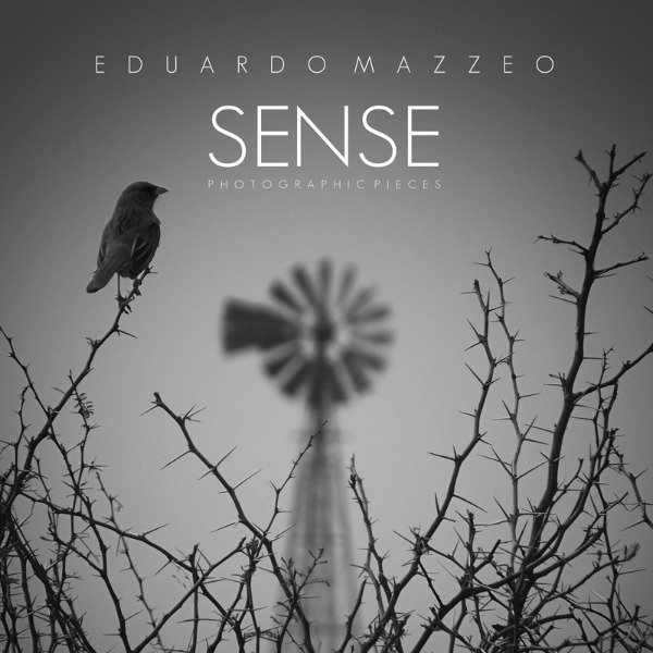 Sense - Mazzeo, Eduardo